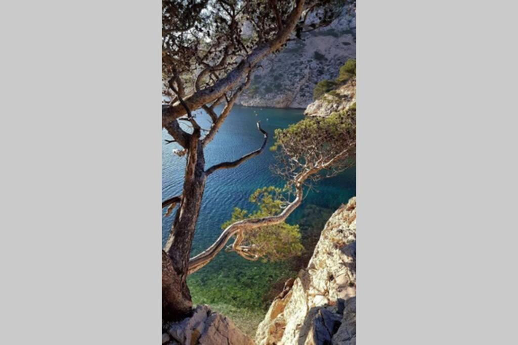 Suite sur la mer Marseille Corniche Eksteriør bilde